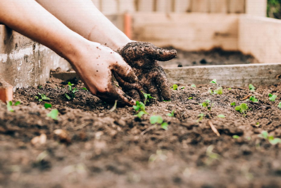 How Houston Residents Are Turning Food Scraps Into Climate Action