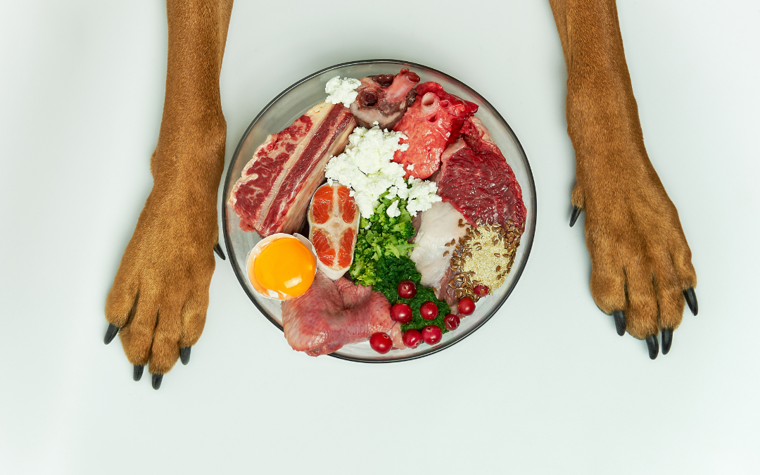 How to Make Dog Nutrition a Simpler Part of Your Routine