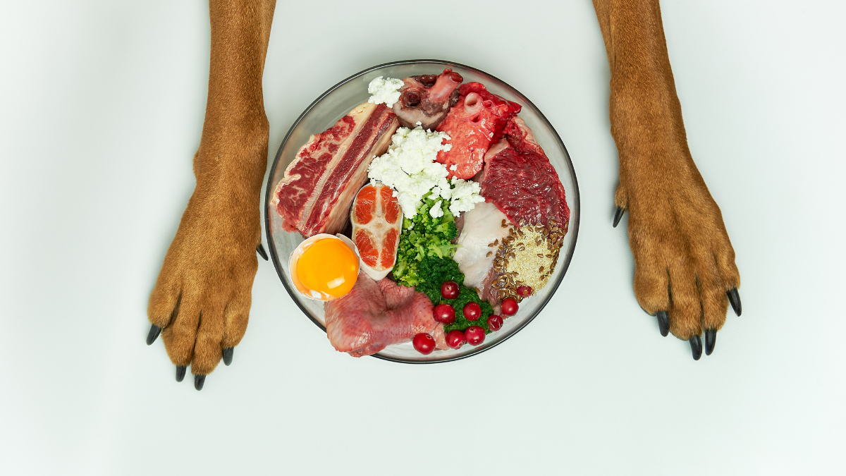 How to Make Dog Nutrition a Simpler Part of Your Routine