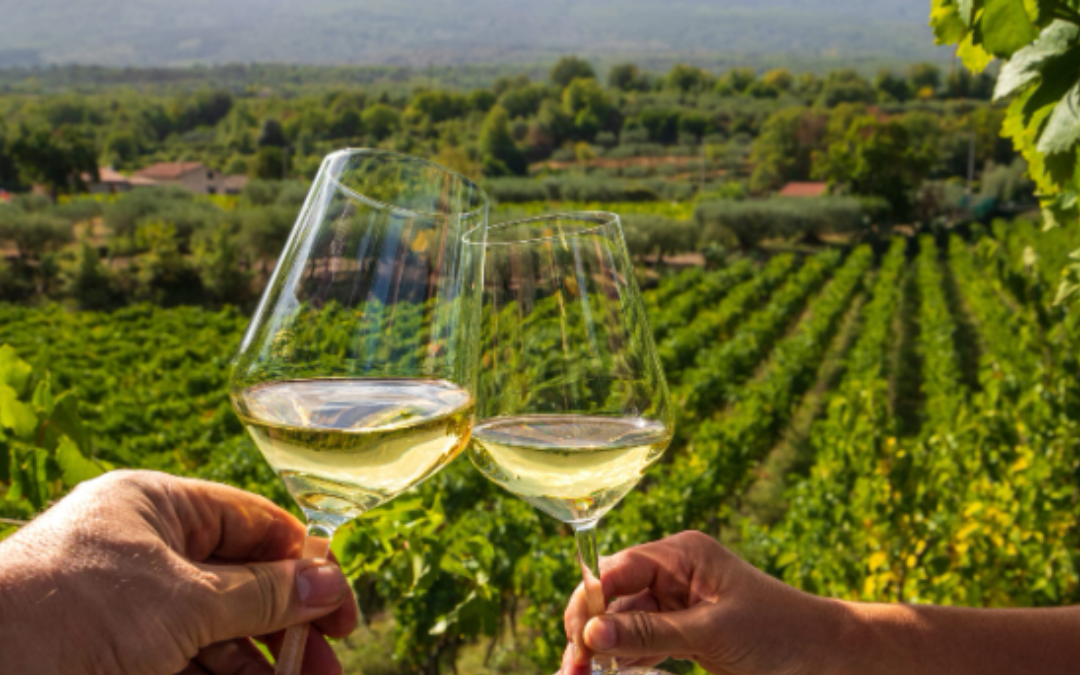 Things to Expect on a Private Silicon Valley Wine Tour