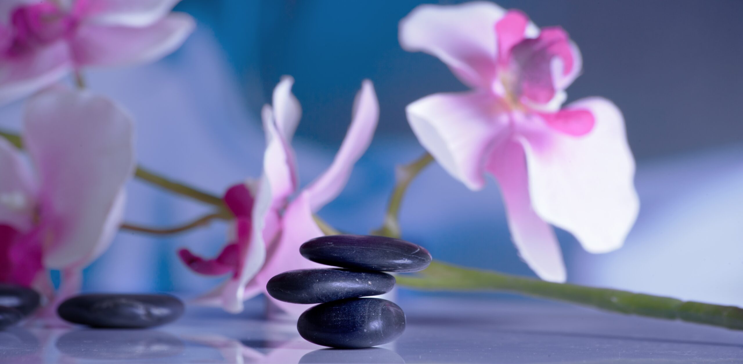 What to Look for When Choosing the Right Path to Recovery