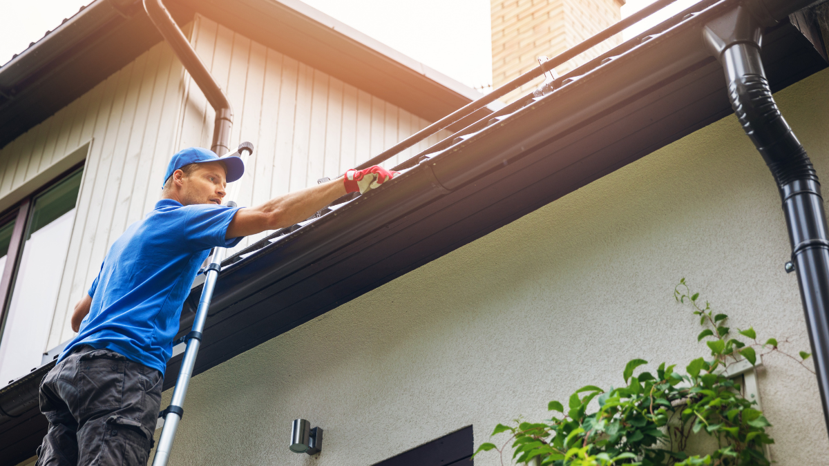 Gutter Cleaning Timing for Properties With Trees, Storm Debris, and Changing Seasons