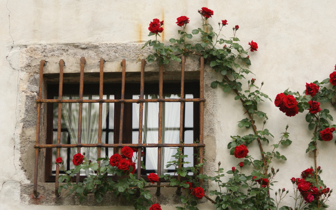 Historical Windows After Years of Alterations: Identifying Details That Still Define the Home