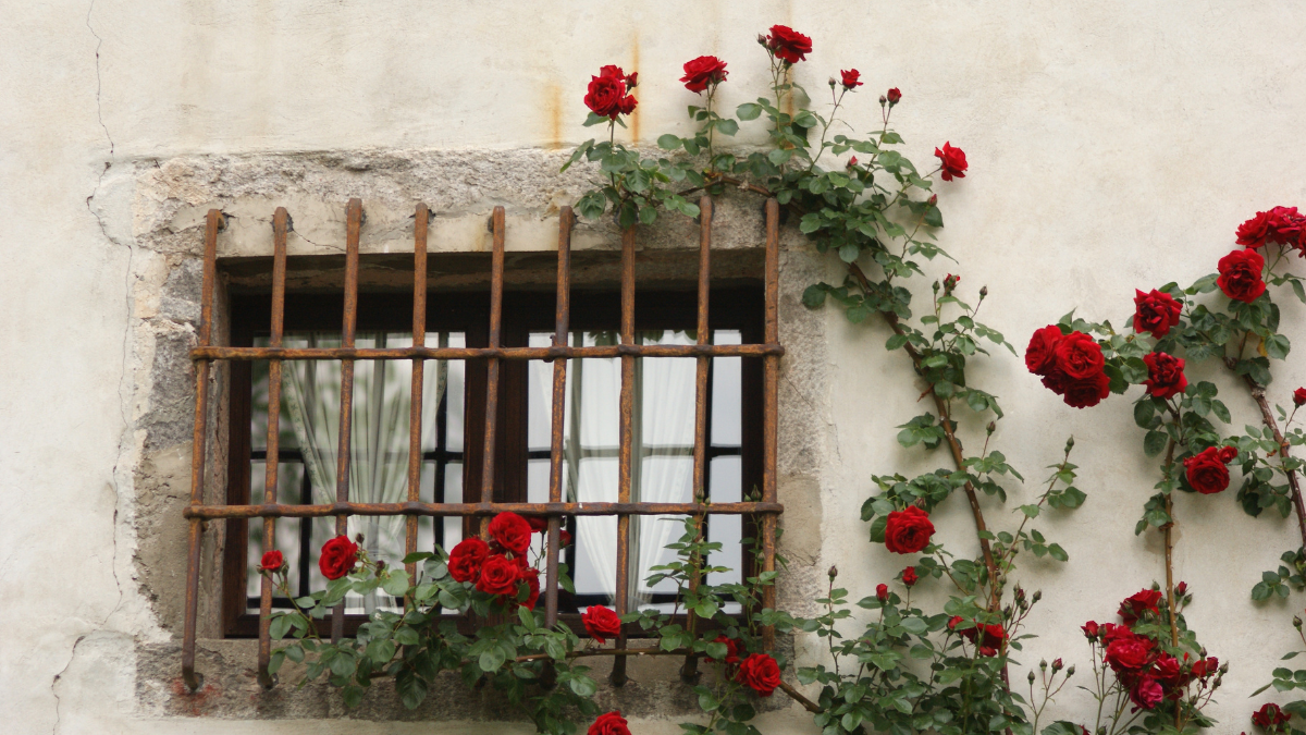 Historical Windows After Years of Alterations Identifying Details That Still Define the Home