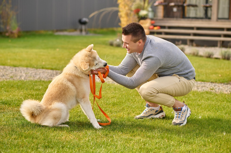 How Destination Canines’ Private Dog Training Lessons Support Better Behavior