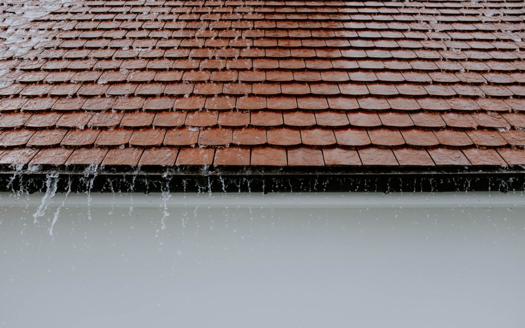How to Keep Pests Out of Your Home During Storm Season