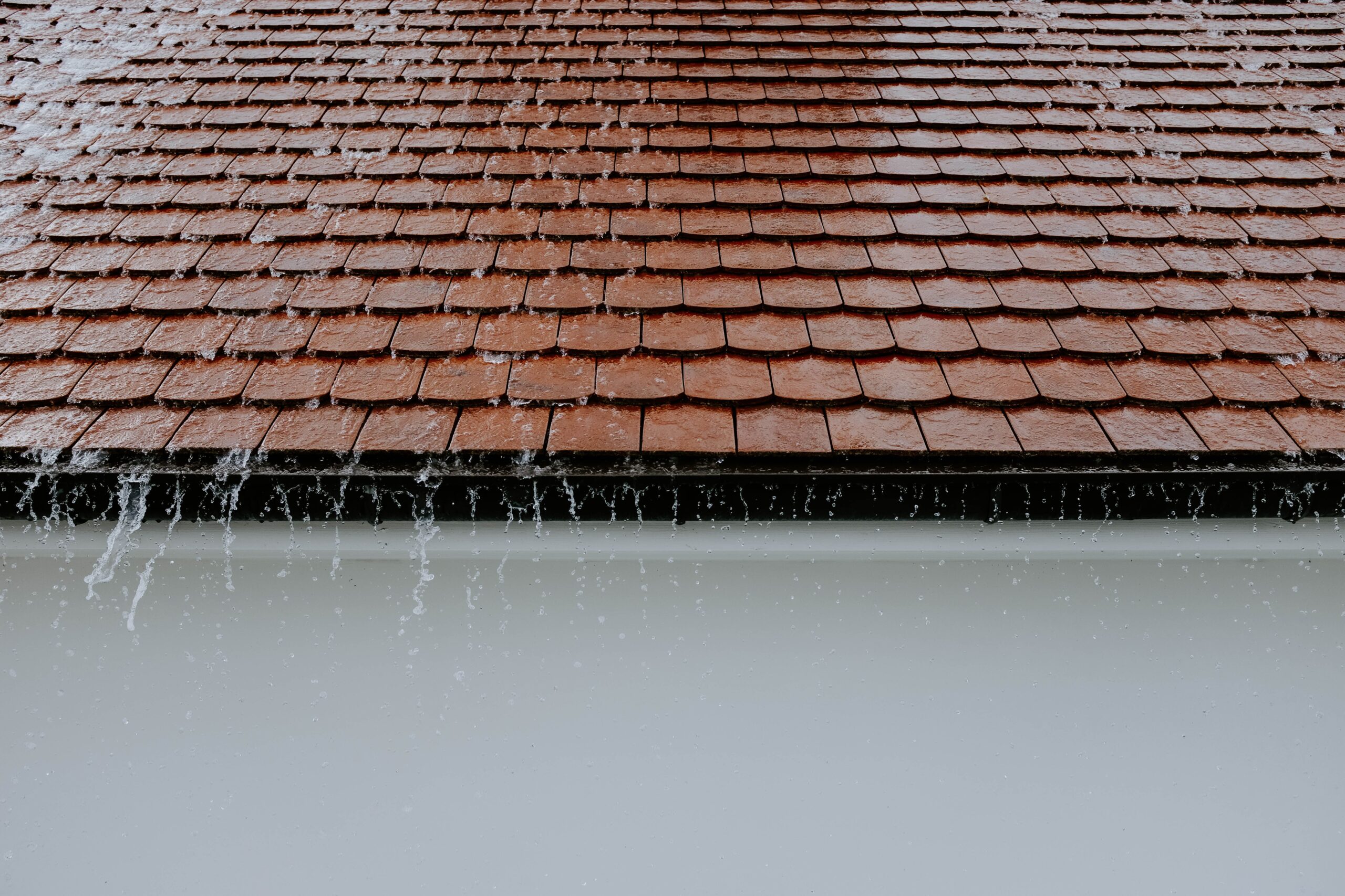 How to Keep Pests Out of Your Home During Storm Season