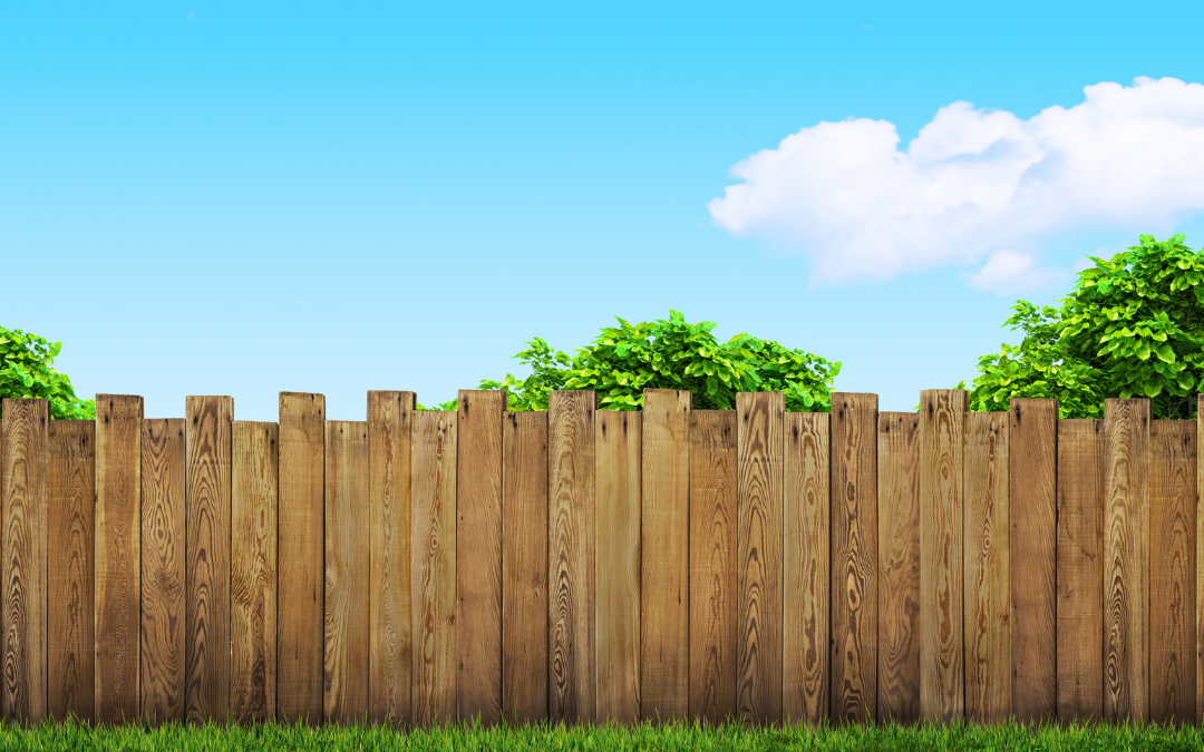 Outdoor Living Space Planning for Privacy Without Making the Backyard Feel Closed or Isolated