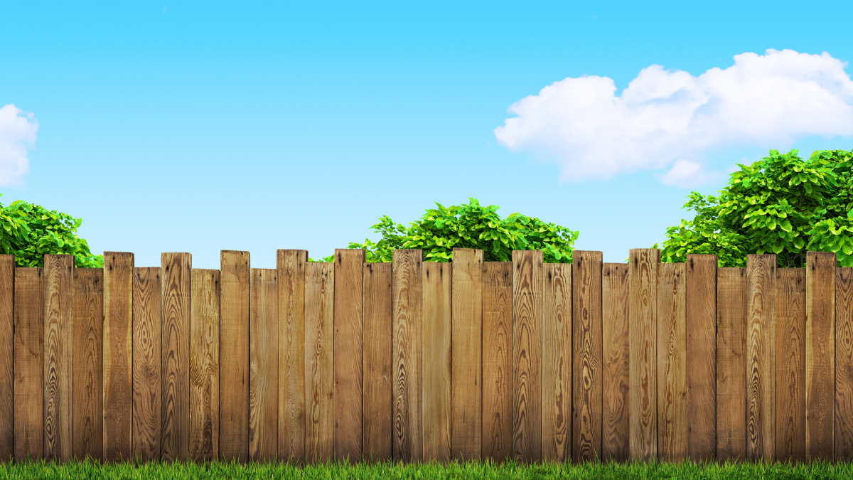Outdoor Living Space Planning for Privacy Without Making the Backyard Feel Closed or Isolated