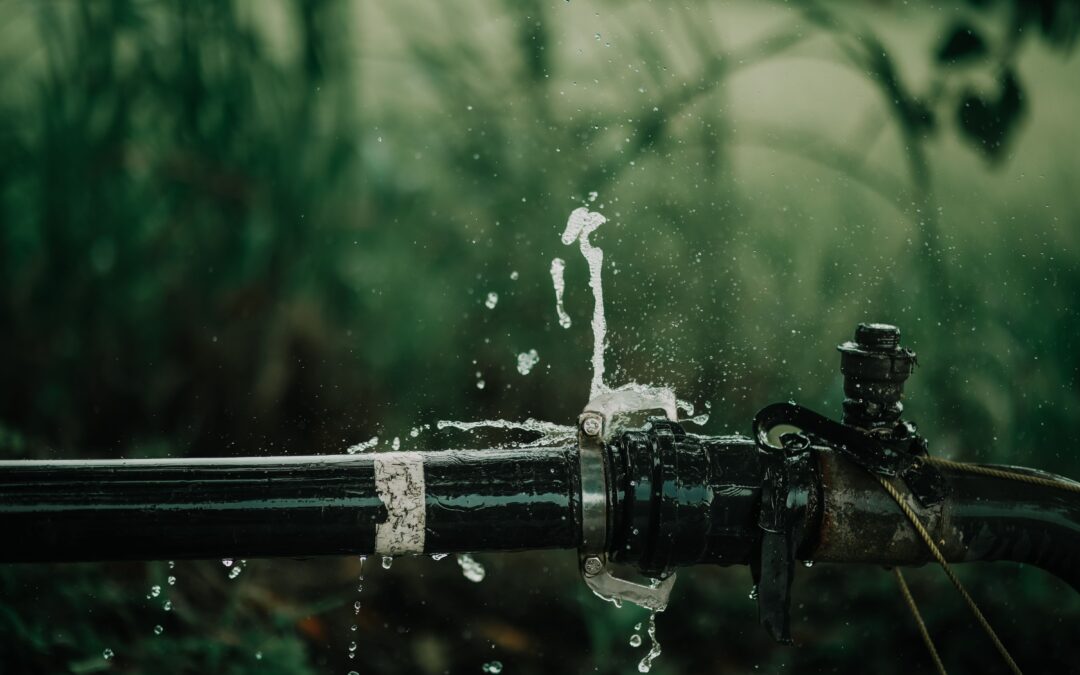 What to Do When a Plumbing Emergency Hits Your Home