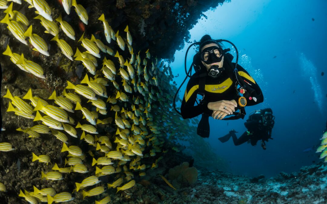 When Is the Best Time to Try Beginner Scuba Diving in Kona