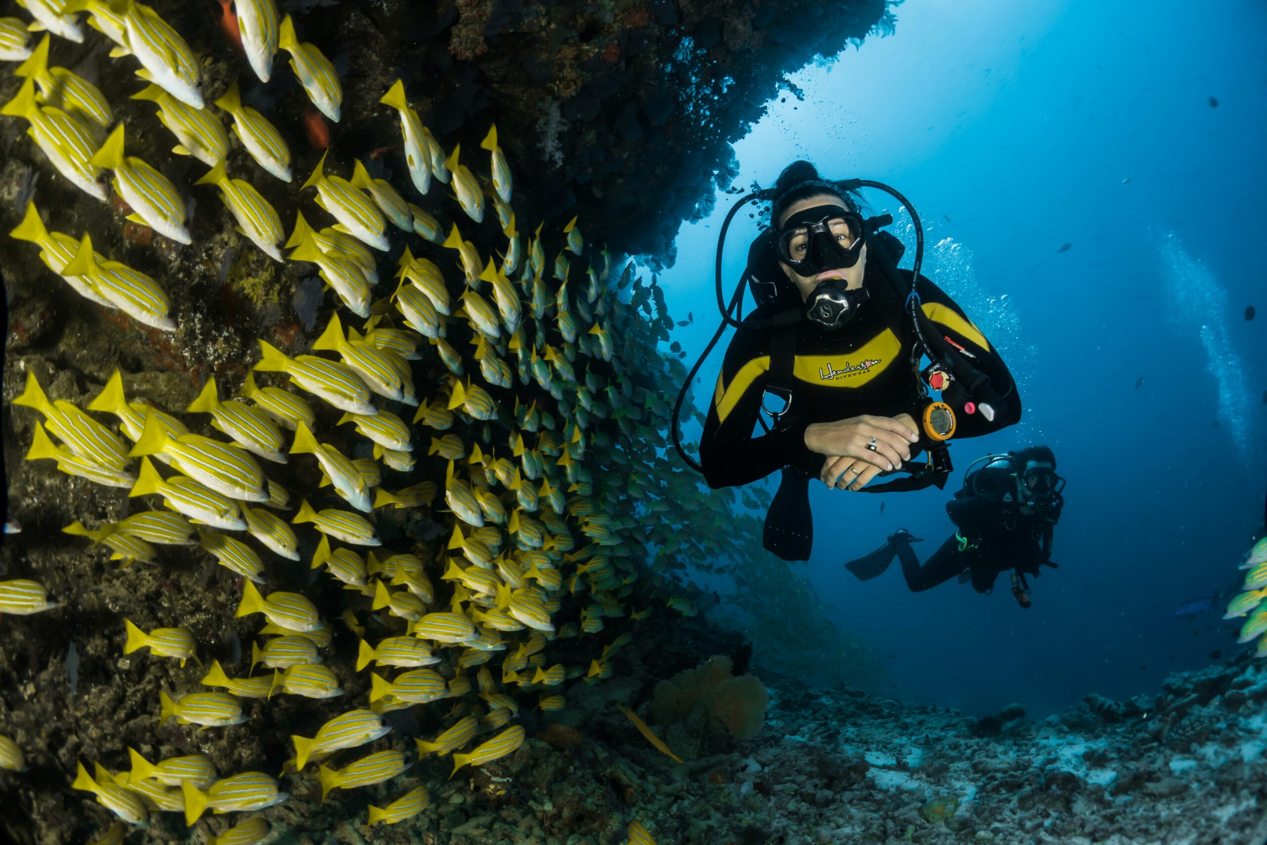 When Is the Best Time to Try Beginner Scuba Diving in Kona