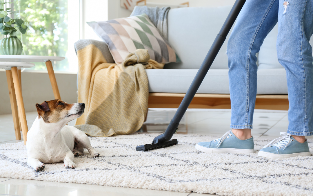 How Pet-Friendly Households Can Manage Dirt and Debris That Move Between Rooms