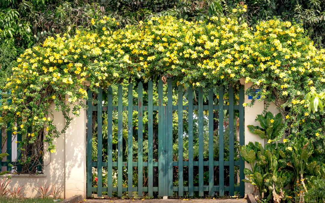 Why Gate Placement and Opening Direction Matter in a Well-Planned Fence Installation